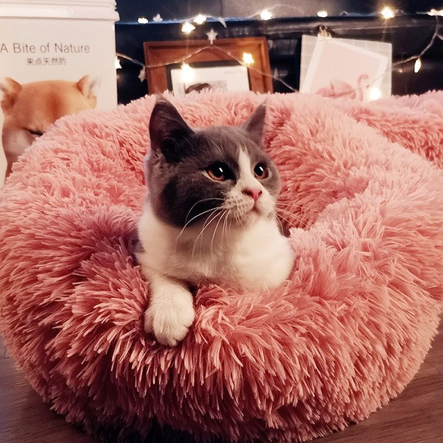 COMFY CALMING DOG/CAT BED
