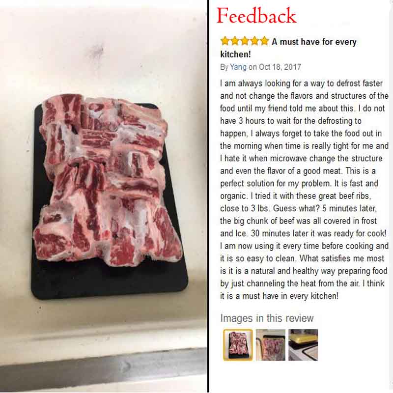 DEFROST PLATE
