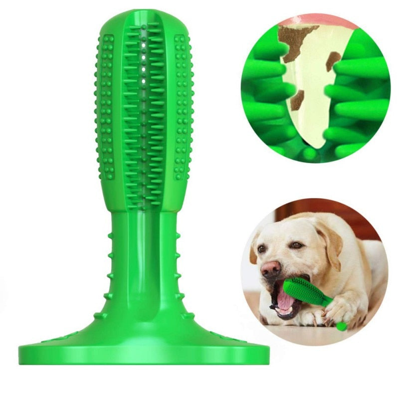 DOG TOOTHBRUSH - HELPS PREVENT DOG GUM DISEASE