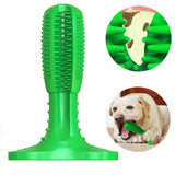DOG TOOTHBRUSH - HELPS PREVENT DOG GUM DISEASE