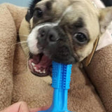 DOG TOOTHBRUSH - HELPS PREVENT DOG GUM DISEASE