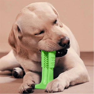 DOG TOOTHBRUSH - HELPS PREVENT DOG GUM DISEASE