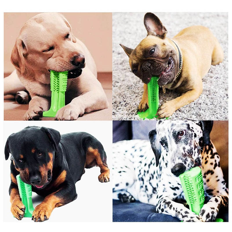 DOG TOOTHBRUSH - HELPS PREVENT DOG GUM DISEASE