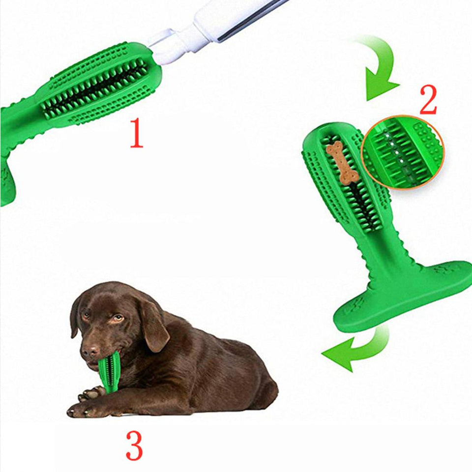 DOG TOOTHBRUSH - HELPS PREVENT DOG GUM DISEASE